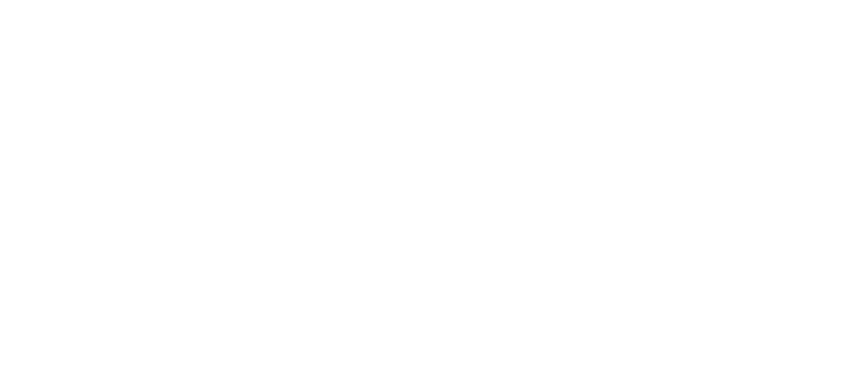 teamcoachingmetdepaarden.nl